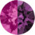 Fuchsia-Amethyst